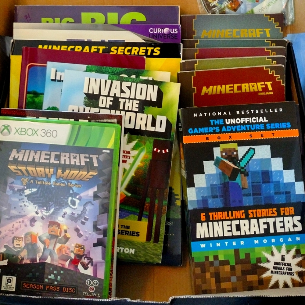Minecraft Xbox 360 Bundle